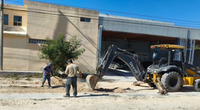 Ejecuta COMAPA trabajos de reposición de carpeta asfáltica en la colonia Campestre