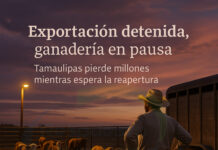 Ganaderos tamaulipecos en crisis: la frontera cerrada con EE.UU. frena su economía y dispara las pérdidas