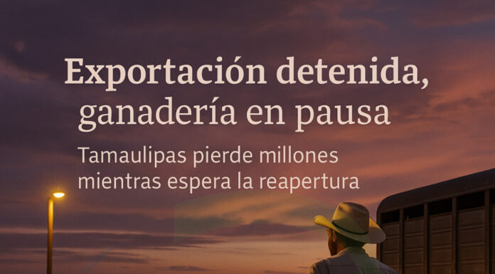Ganaderos tamaulipecos en crisis: la frontera cerrada con EE.UU. frena su economía y dispara las pérdidas