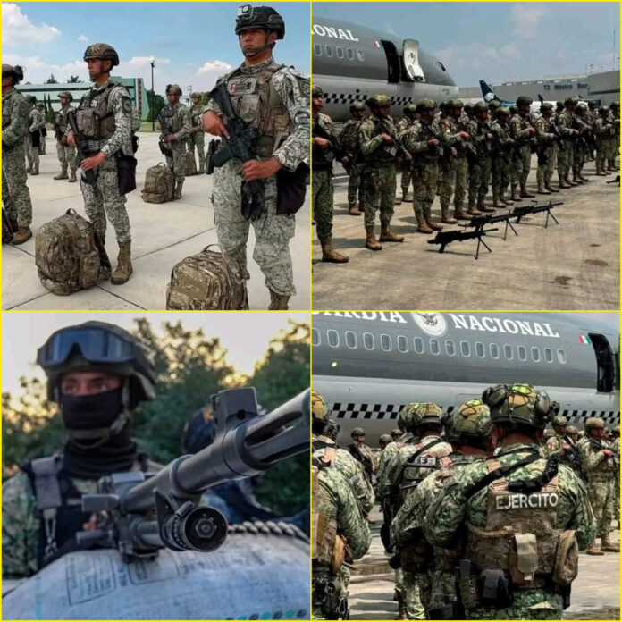 InShot_20251110_152110940