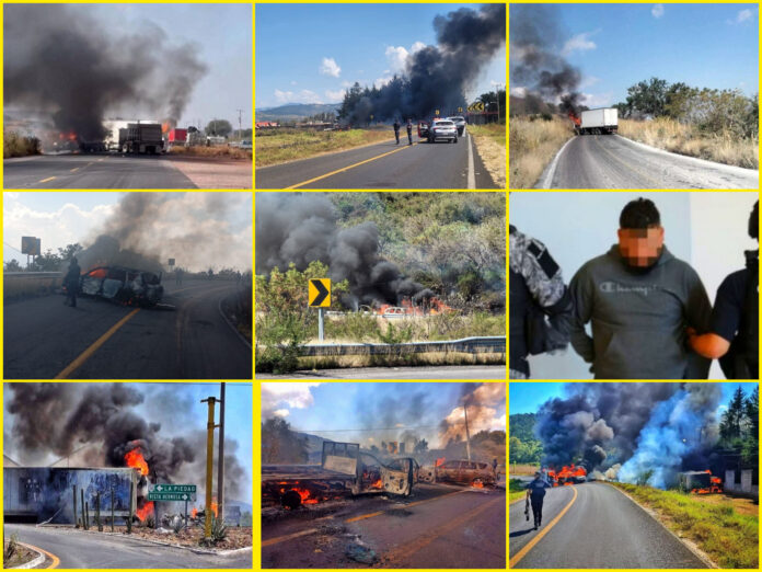 InShot_20251117_162237791