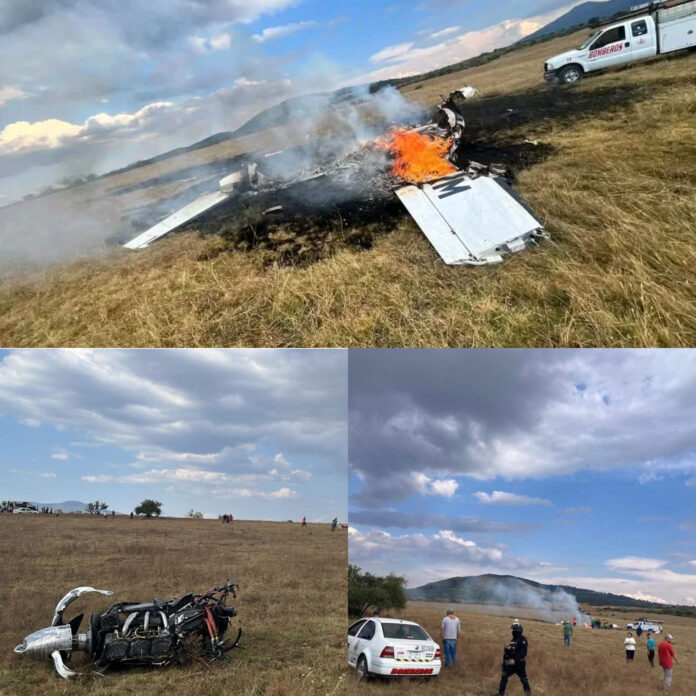 InShot_20251117_175147781