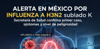 Alerta en México por Influenza A H3N2 subclado K