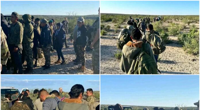 Patrulla Fronteriza detiene a grupo de 35 migrantes