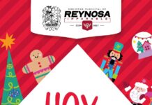 Vive la magia de la Navidad, disfruta el tradicional Encendido del Pino y el Concierto de Tatiana