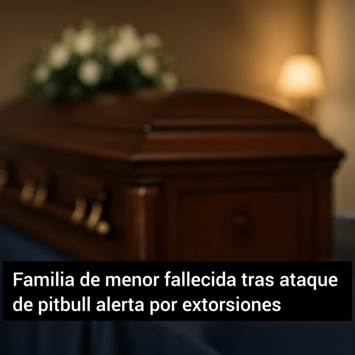 InShot_20251210_145928251