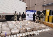 Detienen a conductor con casi una tonelada de droga durante revisión federal