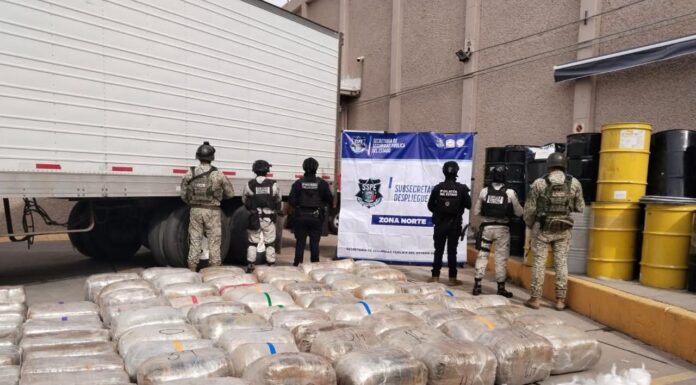 Detienen a conductor con casi una tonelada de droga durante revisión federal