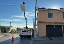 Efectúa Gobierno actividades de limpieza y mantenimiento en Reynosa