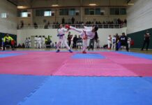 Se realizó con éxito Torneo Municipal de Karate