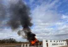 Destruyen más de 445 kilos de drogas aseguradas Tamaulipas