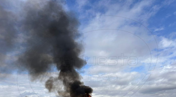 Destruyen más de 445 kilos de drogas aseguradas Tamaulipas