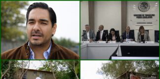 Carlos Peña lidera limpieza; Congreso se suma