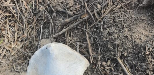 Amor por los Desaparecidos halla restos humanos y tambos en Reynosa