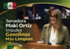 Maki Ortiz propone reforma para utilizar el 25% de etanol en gasolina