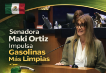 Maki Ortiz propone reforma para utilizar el 25% de etanol en gasolina
