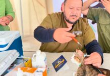Promueve Gobierno de Reynosa salud animal en coordinación con Asociación Civil