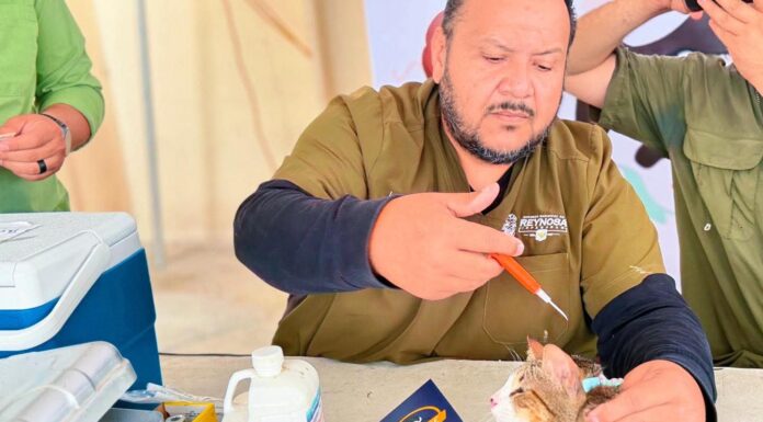 Promueve Gobierno de Reynosa salud animal en coordinación con Asociación Civil