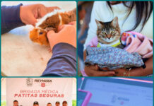 Reynosa fortalece bienestar animal con brigada veterinaria