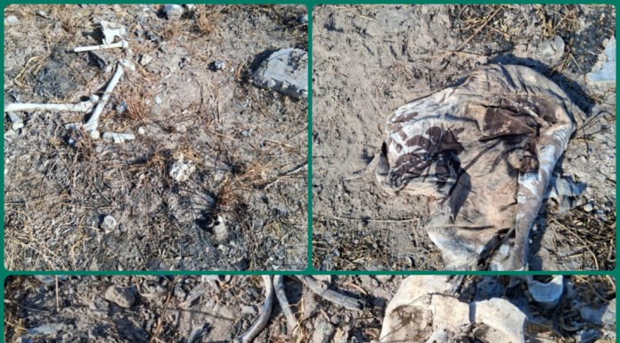 Colectivo reporta hallazgo de restos humanos en Reynosa