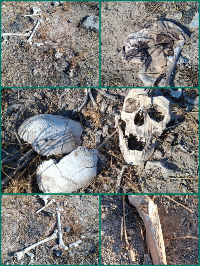 InShot_20260329_210101969