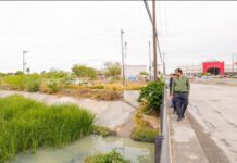 Supervisó Alcalde Carlos Peña Ortiz el desazolve del Dren Reynosa