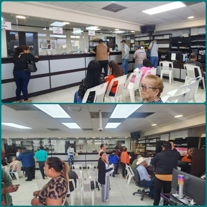 InShot_20260415_145902166