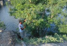 Realiza Gobierno de Reynosa trabajo de mantenimiento en el canal Anzaldúas