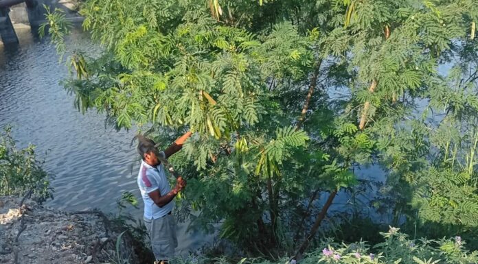 Realiza Gobierno de Reynosa trabajo de mantenimiento en el canal Anzaldúas