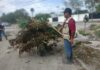 Realiza Gobierno de Reynosa limpieza y mantenimiento de áreas públicas