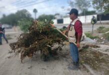 Realiza Gobierno de Reynosa limpieza y mantenimiento de áreas públicas