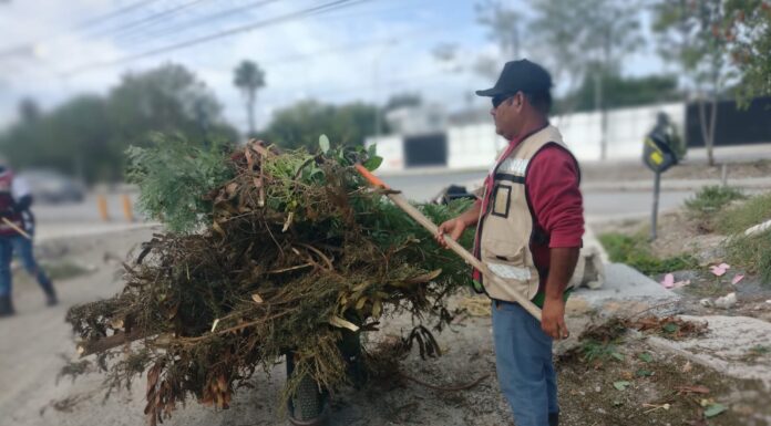 Realiza Gobierno de Reynosa limpieza y mantenimiento de áreas públicas