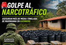 Aseguran 535 kilos de marihuana en operativo federal en Guerrero