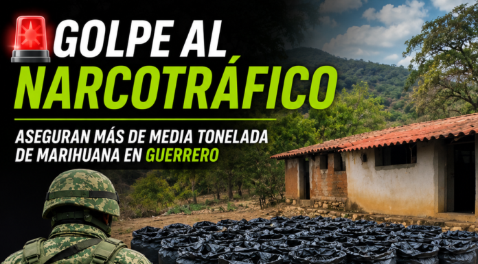 Aseguran 535 kilos de marihuana en operativo federal en Guerrero