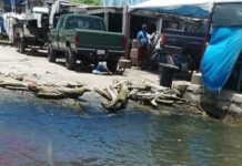Derrame en río Pánuco genera alarma ambiental