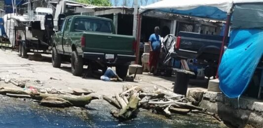 Derrame en río Pánuco genera alarma ambiental