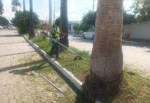 Gobierno de Carlos Peña Ortiz mejora vialidades