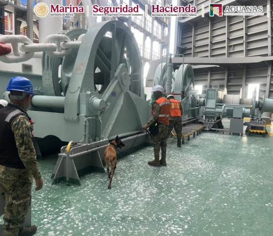 Golpe al narcotráfico en Michoacán: aseguran 137 kilos de presunta cocaína en el puerto de Lázaro Cárdenas