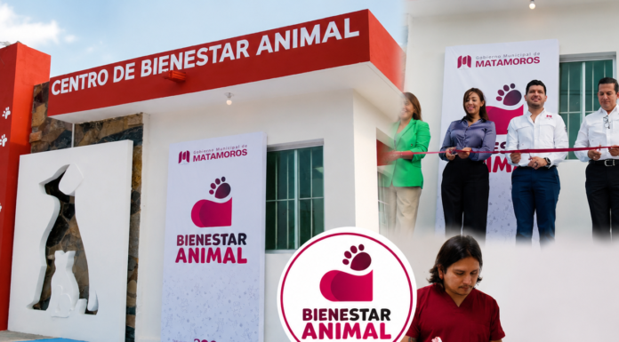 Centro de Bienestar Animal transforma la atención en Matamoros