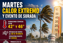 Calor intenso, fuertes vientos y posibilidad de lluvias: así estará el clima este martes en Tamaulipas