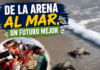 Niñas y niños de Güémez liberan crías de tortuga lora en La Pesca y fortalecen la cultura ambiental
