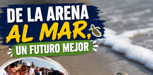 Niñas y niños de Güémez liberan crías de tortuga lora en La Pesca y fortalecen la cultura ambiental