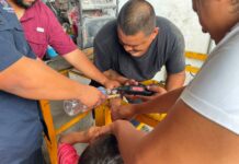 Promueve Carlos Peña Ortiz la Protección Civil en casa durante este periodo vacacional