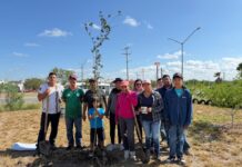 Reforesta Dirección de Medio Ambiente la colonia Ventura
