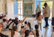 Impulsa Carlos Peña Ortiz la cultura del bienestar animal entre la niñez reynosense