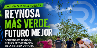 Gobierno de Reynosa amplía las áreas verdes con reforestación en la colonia Ventura