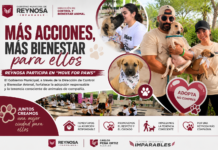 Control y Bienestar Animal fortalece la adopción responsable