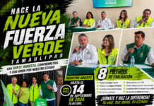 Partido Verde busca nuevos perfiles en Tamaulipas; aplicará ocho filtros a interesados