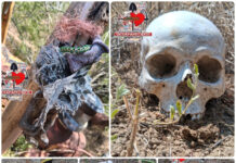 Localizan restos humanos y una fosa clandestina en Miguel Alemán