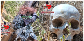 Localizan restos humanos y una fosa clandestina en Miguel Alemán